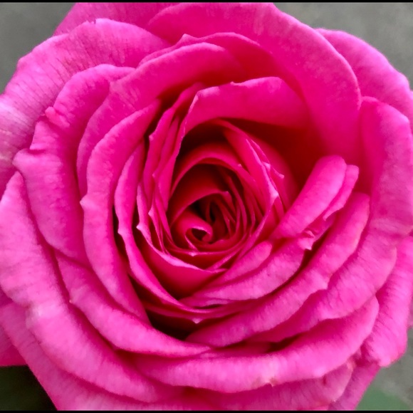 ☯️Welcome♊️I’m Angela=ALWAYS keepn it REAL&HONEST! - Picture 14 of 16